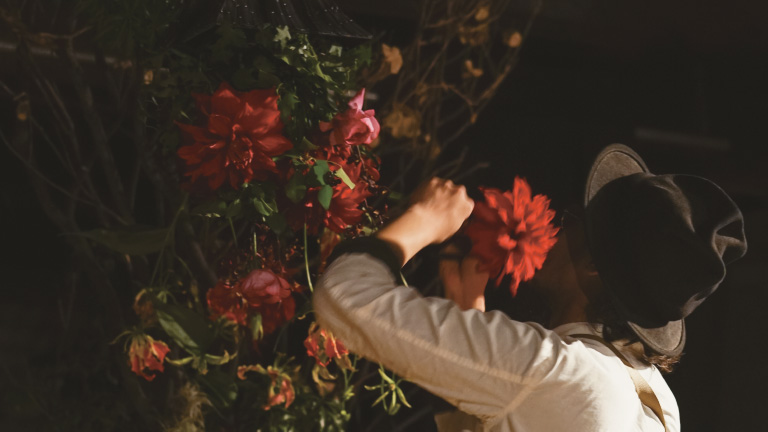 光と植物の空間演出