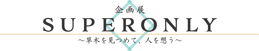 スーパーオンリータイトル